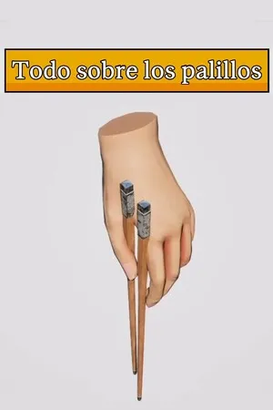 Portada de Todo sobre los palillos