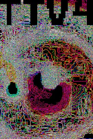Portada de TTV4