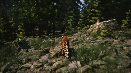 Captura de Untamed Kingdom