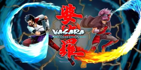 Portada de VASARA Collection