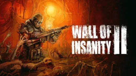 Portada de Wall Of Insanity 2