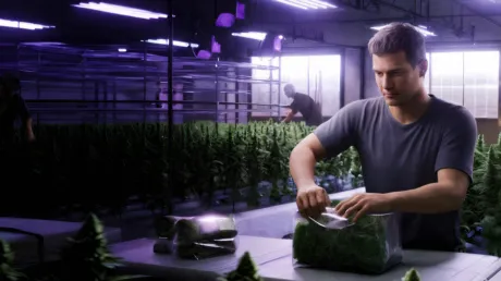 Portada de Weed Lord Simulator