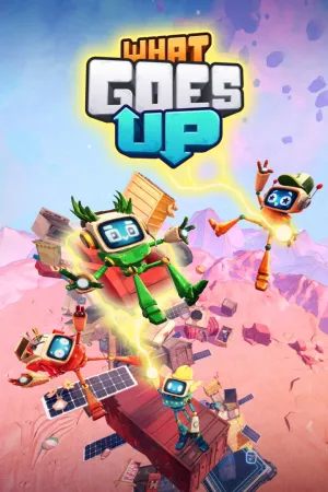Portada de What Goes Up