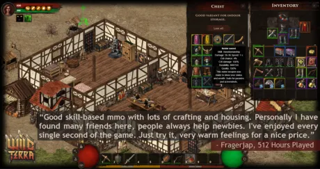 Captura de Wild Terra Online