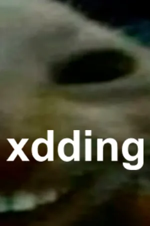 Portada de xdding